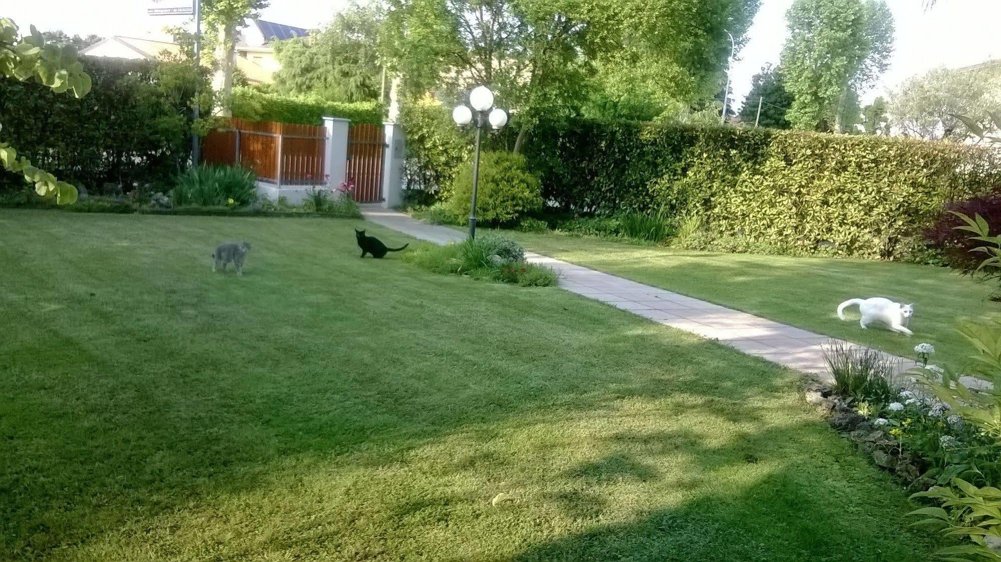 B&B Le Tre Grazie San Martino di Lupari Экстерьер фото